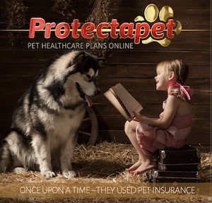 Little girl reading a story book to her dog advertising Protectapets Pet Healthcare Plans 